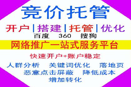 案例研究：SEM代运营服务公司的创新策略